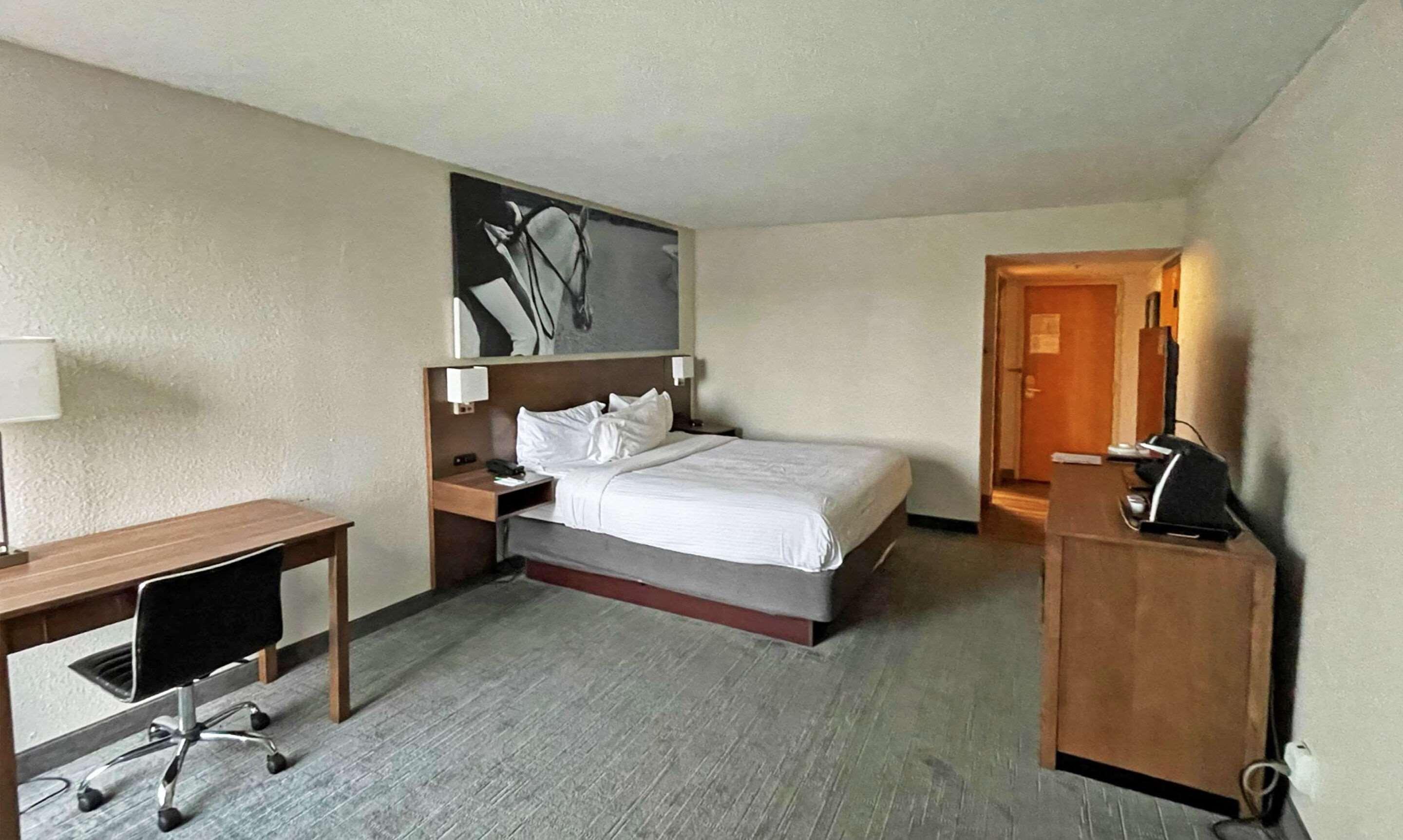 วินด์แฮม การ์เดน ฮ้อปกิ้นสวิลล์ Hotel ฮอปกินส์วิลล์ ภายนอก รูปภาพ